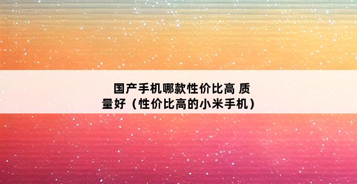 国产手机哪款性价比高 质量好（性价比高的小米手机） 